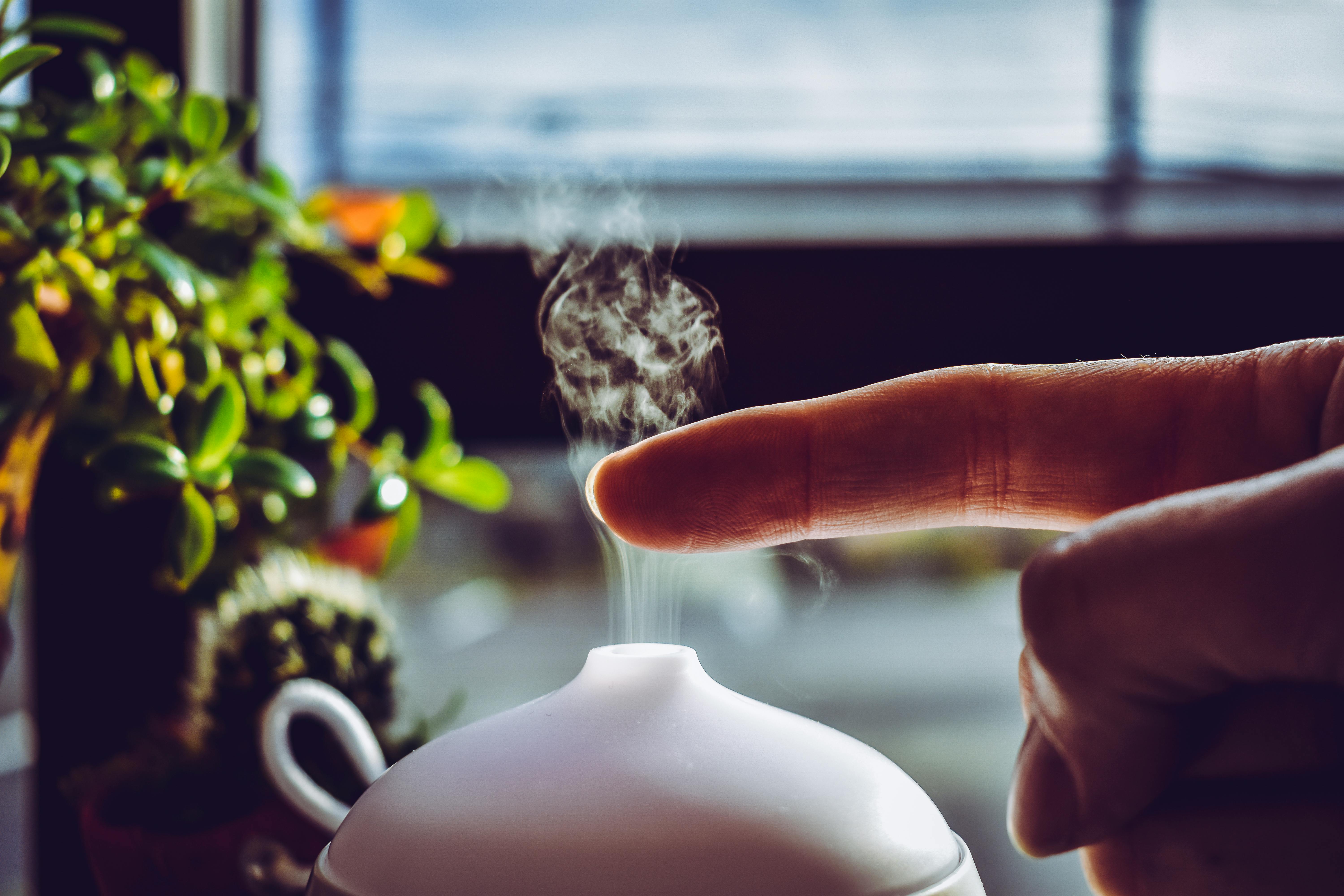 Essential Oils 101: How to Use Them for Health, Home & Beauty