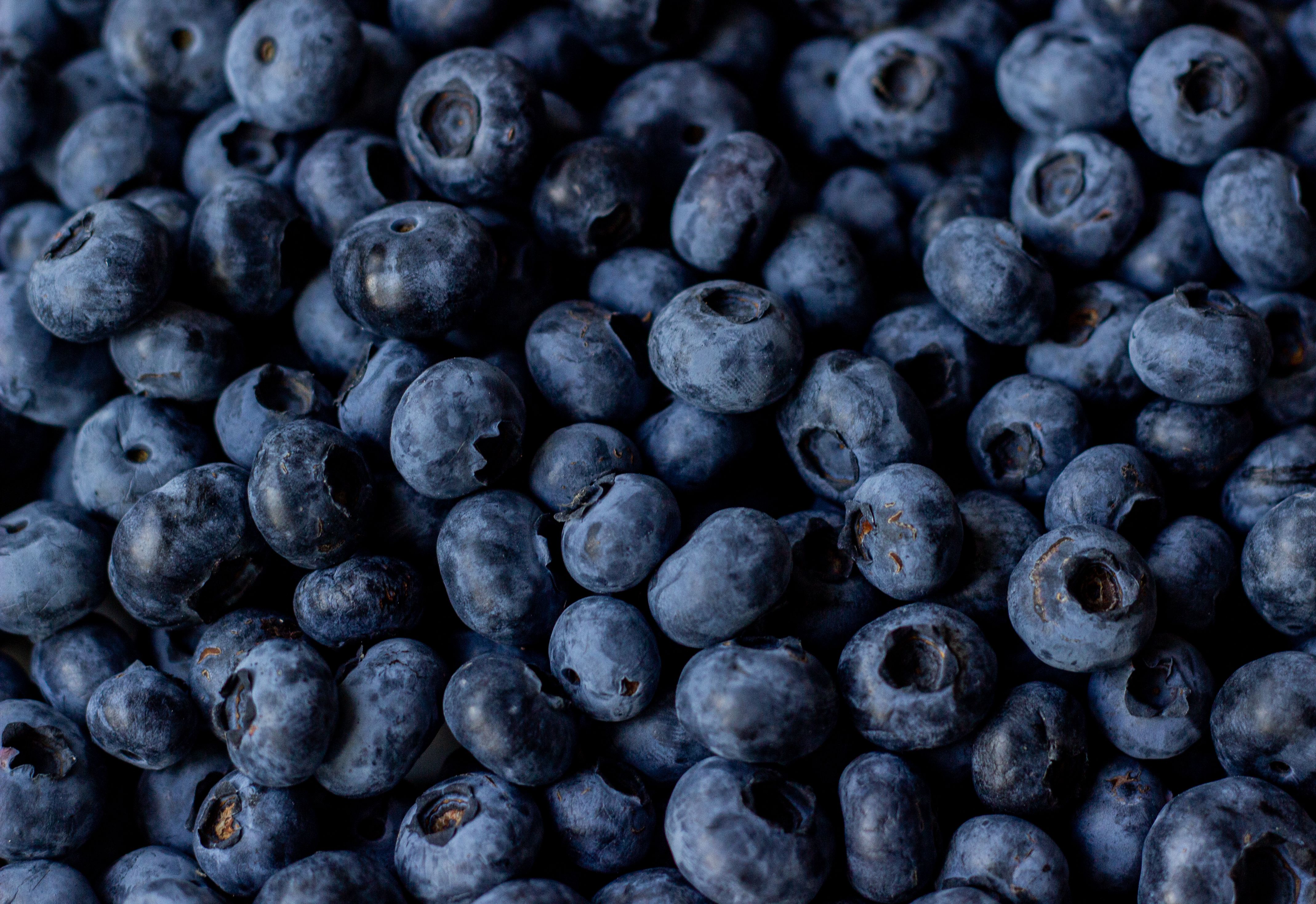 Easy Blueberry Compote – Ready in 10 Minutes